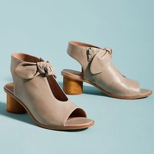 bernardo shooties